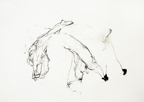 1115-II / the dance of oysters-Aude Haefflinger