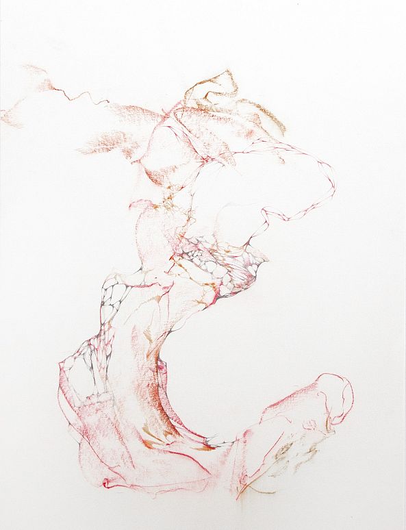 1115-I / untitled-Aude Haefflinger
