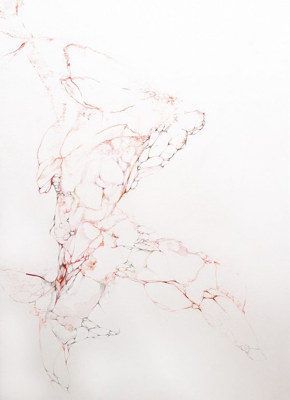1115- II / untitled-Aude Haefflinger