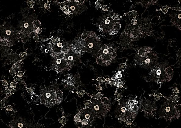 613-I / lutein cell-Aude Haefflinger