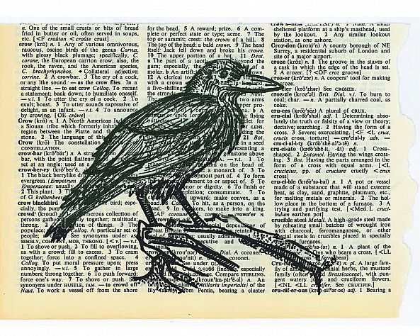 Crow-Jessie's Art