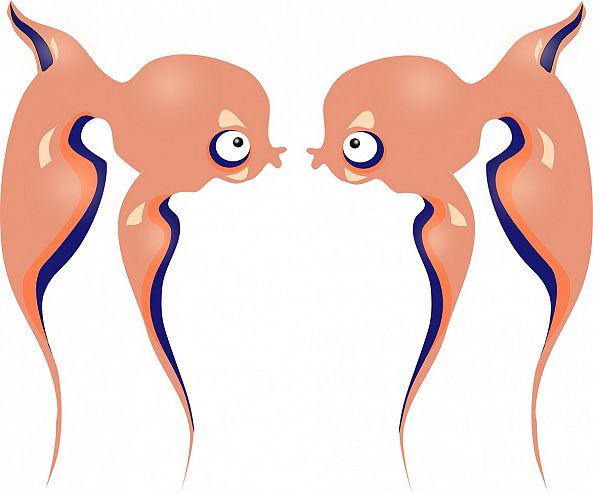 Empoisonnée-FÈVE .