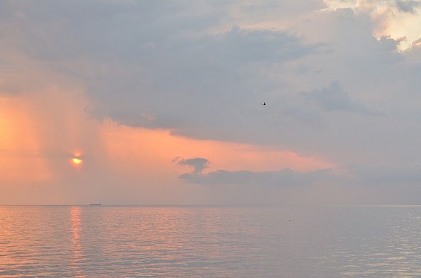 Sunrise at Assateague Island-Liz Ashe