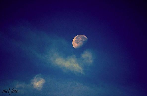 lune-Peinture Melanie