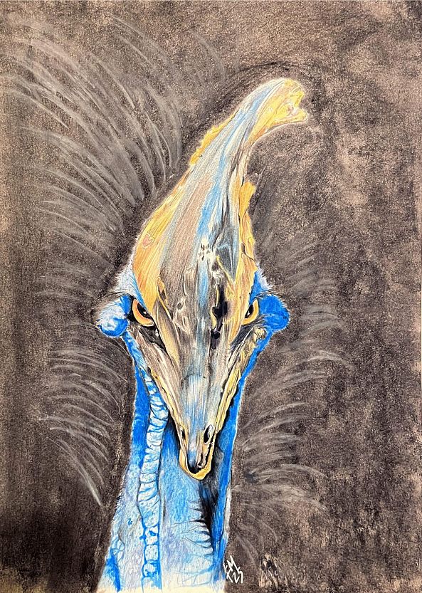 Le Casoar-Farid Mahiedine