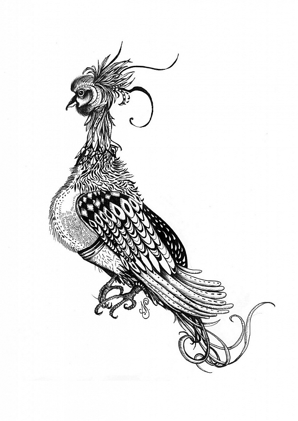 Fey the Pheasant -Nastasha Minyon Sale 