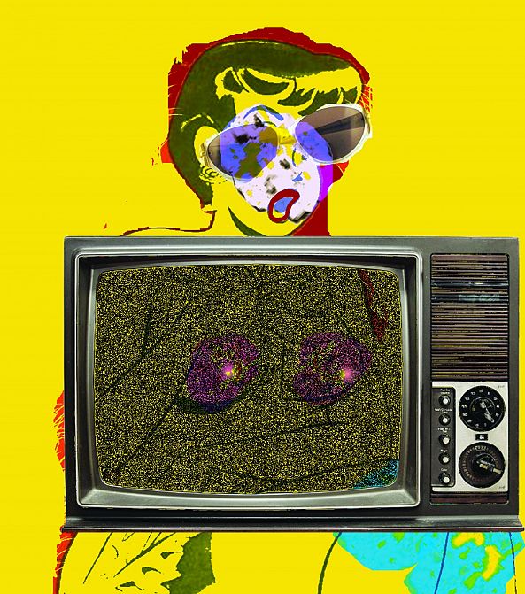 Premium yellow 2-P N