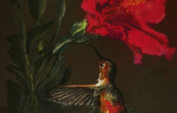 le Colibri et son hibiscus-joelle BROUILLARD