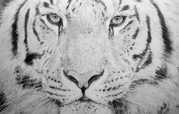 LD Portrait