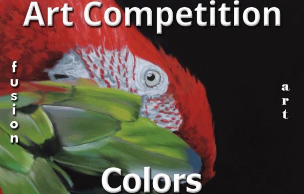 Colors 2025 Art Competition