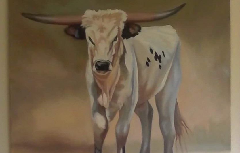 Collett Louw